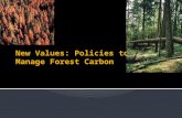 November 12 - forest carbon 1, Tutorial 4  November 14 – carbon (cont)  Brief due  November 18 (Monday) – EBM simulation  November 19 (Lecture)