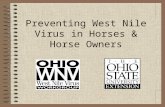 Preventing West Nile Virus in Horses & Horse Owners.