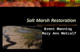 Salt Marsh Restoration Brent Manning Mary Ann Metcalf.