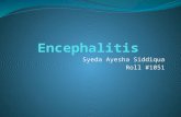 Syeda Ayesha Siddiqua Roll #1051. Introduction Encephalitis is irritation, swelling, or acute inflammation of the brain most often due to viral infection.