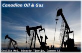 Business 419 Canadian Oil & Gas Cecilia Mei, Binardy Tjuatja, Carmen Li, Maryam Hendi.