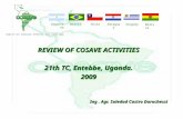REVIEW OF COSAVE ACTIVITIES 21th TC, Entebbe, Uganda. 2009 Ing. Agr. Soledad Castro Dorochessi ArgentinaBrasilChileParaguayUruguay COMITE DE SANIDAD VEGETAL.