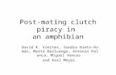Post-mating clutch piracy in an amphibian David R. Vieites, Sandra Nieto-Román, Marta Barluenga, Antonio Palanca, Miguel Vences and Axel Meyer.