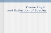 Ozone Layer and Extinction of Species. Contents Ozone layer depletion Extinction of species and loss of biodiversity.