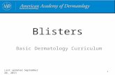 1 Blisters Basic Dermatology Curriculum Last updated September 20, 2013.