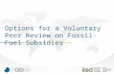 Options for a Voluntary Peer Review on Fossil-Fuel Subsidies.