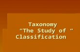 Taxonomy “The Study of Classification”. What do you think?  What does classification mean?  Why is classification important?  When do we use classification.