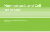 Chapter 5: Homeostasis and Cell Transport.  The steady – state physiological condition of the body of a cell.  Cell membranes help organisms maintain.