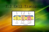 Process by which particles lend to move from an area where they are more concentrated to an area where they are less concentrated. 7.3 Cell Transport.