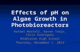Effects of pH on Algae Growth in Photobioreactors Rafael Martell, Karen Trejo, Chris Rodriguez Middleton High School Thursday, November 1, 2013.