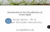 1 Introduction to the Classification of Green Algae Brian Wysor, Ph.D. Roger Williams University.