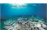 Ocean Productivity. OUTLINE The Microbial Revolution Major Types of Phytoplankton What is Primary Production From Studying Cell Counts to Satellites Controls.
