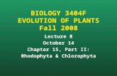 BIOLOGY 3404F EVOLUTION OF PLANTS Fall 2008 Lecture 8 October 14 Chapter 15, Part II: Rhodophyta & Chlorophyta.