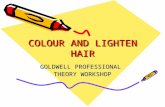 COLOUR AND LIGHTEN HAIR GOLDWELL PROFESSIONAL THEORY WORKSHOP.