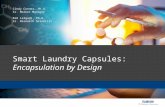 Cindy Conner, Ph.D. Sr. Market Manager Ram Lalgudi, Ph.D. Sr. Research Scientist Smart Laundry Capsules: Encapsulation by Design.
