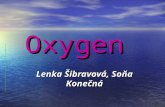 Oxygen Lenka Šibravová, Soňa Konečná. OXYGEN OXYGEN the element is very common major component of air the second largest single component of the earth's.