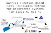 Wannier Function Based First Principles Method for Disordered Systems Tom Berlijn, Wei Ku PhD postdoc CMSN network.