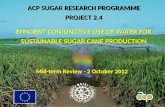 ACP SUGAR RESEARCH PROGRAMME PROJECT 2.4 EFFICIENT CONJUNCTIVE USE OF WATER FOR SUSTAINABLE SUGAR CANE PRODUCTION ACP SUGAR RESEARCH PROGRAMME PROJECT.