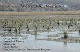 Wetland Restoration Definitions Motivations Types and Approaches Costs Design Issues Ecological Theory Monitoring Case Studies Southern California Restoration.