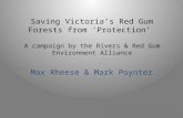 Saving Victoria’s Red Gum Forests from ‘Protection’ A campaign by the Rivers & Red Gum Environment Alliance Max Rheese & Mark Poynter.