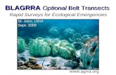 . BLAGRRA Optional Belt Transects Rapid Surveys for Ecological Emergencies  St. John, USVI Sept. 2005 © C. Rogers.
