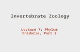 Invertebrate Zoology Lecture 7: Phylum Cnidaria, Part 2.