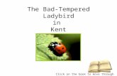 The Bad-Tempered Ladybird in Kent Click on the book to move through the story.
