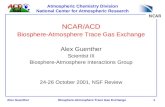 Alex GuentherBiosphere-Atmosphere Trace Gas Exchange1 Atmospheric Chemistry Division National Center for Atmospheric Research NCAR/ACD Biosphere-Atmosphere.