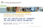 Leadership. Knowledge. Community. USE OF ANTIPLATELET THERAPY IN PATIENTS WITH DIABETES Working Group: Maria E. Wolfs, MD, FRCP; Rémi Rabasa-Lhoret, MD,