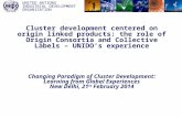 UNITED NATIONS INDUSTRIAL DEVELOPMENT ORGANIZATION Cluster development centered on origin linked products: the role of Origin Consortia and Collective.