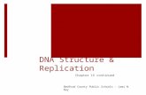 DNA Structure & Replication Chapter 15 continued Bedford County Public Schools – Jami N. Key.