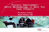 Process Improvement: Which Methodology is Best for Your Project? PMI Skyline Luncheon Sharon Valencia, PMP.