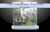 Wayside Shrine Trail South Florida Community College The Fabulous Florida Scrub!