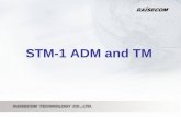 STM-1 ADM and TM. STM-1 CPE Overview  OPCOM3100-155 and OPCOM3101-155 are carrier-class design SDH CPE.  High capacity of E1 or Ethernet service at.