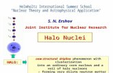 Halo Nuclei S. N. Ershov Joint Institute for Nuclear Research new structural dripline phenomenon with clusterization into an ordinary core nucleus and.