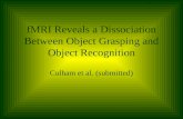 FMRI Reveals a Dissociation Between Object Grasping and Object Recognition Culham et al. (submitted)