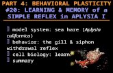 PART 4: BEHAVIORAL PLASTICITY #20: LEARNING & MEMORY of a SIMPLE REFLEX in APLYSIA I F model system: sea hare ( Aplysia californica ) F behavior: the gill.