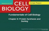 Fundamentals of Cell Biology Chapter 8: Protein Synthesis and Sorting.