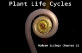 Plant Life Cycles Modern Biology Chapter 32. Alternation of Generations: the overview.
