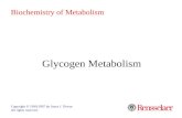 Glycogen Metabolism Copyright © 1999-2007 by Joyce J. Diwan. All rights reserved. Biochemistry of Metabolism.