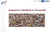 1 of 25 Sequence Variation in Ensembl. 2 of 25 Outline SNPs SNPs in Ensembl Linkage disequilibrium SNPs in BioMart DAS sources.
