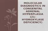 MOLECULAR DIAGNOSTICS IN CONGENITAL ADRENAL HYPERPLASIA (21- HYDROXYLASE DEFICIENCY)