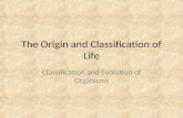 The Origin and Classification of Life Classification and Evolution of Organisms.