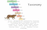 Taxonomy 6.2-2: Recognize the hierarchical structure of the classification (taxonomy) of organisms (including the seven major levels or categories of living.