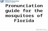 Roxanne Connelly, 2014 Florida Medical Entomology Laboratory Pronunciation guide for the mosquitoes of Florida.