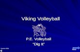 Viking Volleyball P.E. Volleyball “Dig It” Next Gravine 2006.