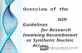 Overview of the NIH Guidelines for Research Involving Recombinant or Synthetic Nucleic Acid Molecules.