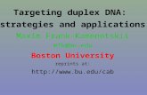Targeting duplex DNA: strategies and applications Maxim Frank-Kamenetskii mfk@bu.edu Boston University reprints at: .