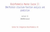 Bioinformatics Master Course II: DNA/Protein structure-function analysis and prediction Lecture 12: DNA/RNA structure Centre for Integrative Bioinformatics.