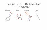 Topic 2.1 Molecular Biology. 2.1 (U1) Molecular biology explains living processes in terms of chemical substances involved. Molecular biology is a branch.